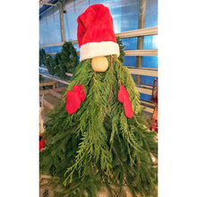 Load image into Gallery viewer, Amaryllis Centerpiece  - Workshop