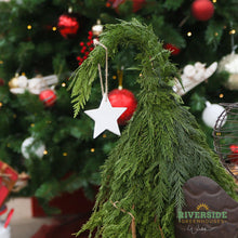 Load image into Gallery viewer, Whimsical Charlie Brown Tree - Workshop