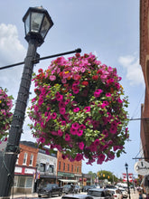 Load image into Gallery viewer, The Thornbury - Hanging Basket
