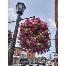 Load image into Gallery viewer, The Thornbury - Planter