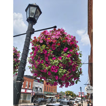 Load image into Gallery viewer, The Thornbury - Window Boxes