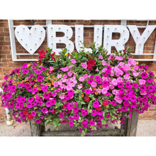 Load image into Gallery viewer, The Thornbury - Planter