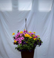 Load image into Gallery viewer, Intrawest - Planter