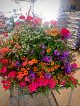 Load image into Gallery viewer, NEW Mayan Sunset Hanging Basket