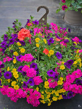 Load image into Gallery viewer, Tropical Twist- Hanging Basket