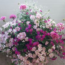 Load image into Gallery viewer, Pinkalicious - Planter