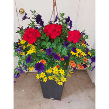 Load image into Gallery viewer, Mediterranean - Hanging Basket