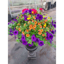 Load image into Gallery viewer, Mediterranean - Hanging Basket