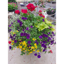 Load image into Gallery viewer, Primary Colours - Hanging Basket
