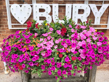 Load image into Gallery viewer, The Thornbury - Window Boxes
