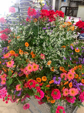 Load image into Gallery viewer, NEW Mayan Sunset Planter
