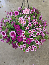 Load image into Gallery viewer, Pinkalicious - Planter
