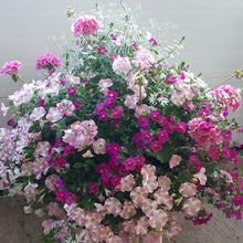 Load image into Gallery viewer, Pinkalicious - Planter
